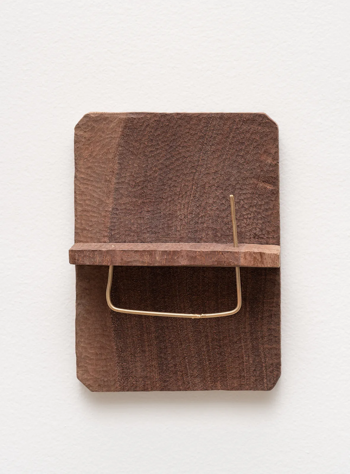 Tonico Lemos Auad, Cabeça de Búfalo / Dourado, 2022