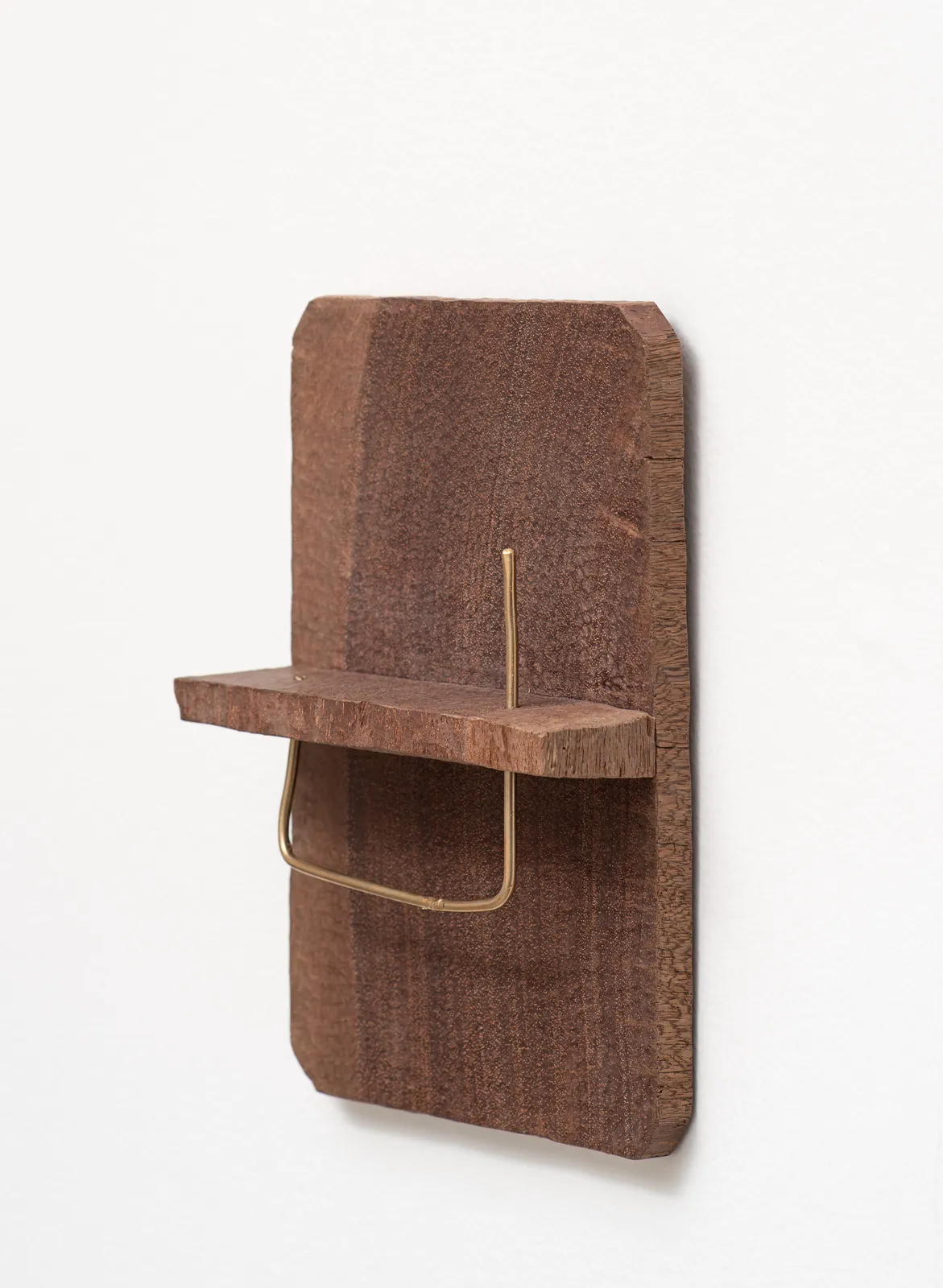 Tonico Lemos Auad, Cabeça de Búfalo / Dourado, 2022