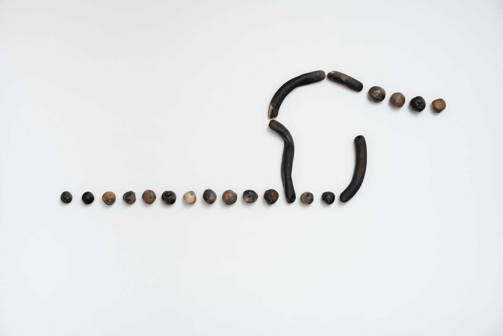 Anna Maria Maiolino, Linhas e Pontos, 2013/2015