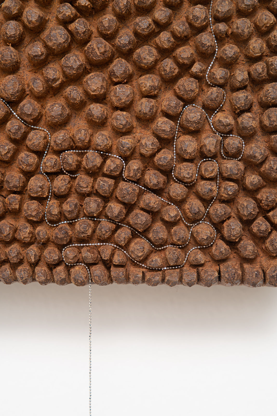 Tonico Lemos Auad, Cabeça de Búfalo / Marajó, 2022