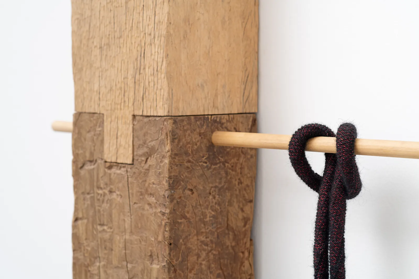 Tonico Lemos Auad, Cobra Preta, 2022