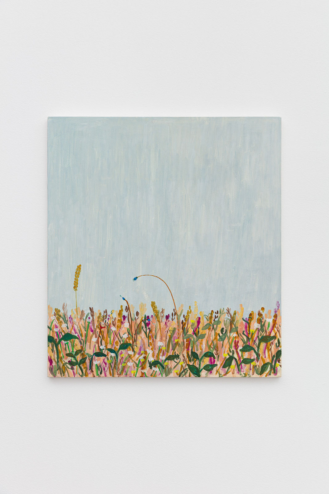 Brisa Noronha, Sem título, série: Quatro campos, 2025