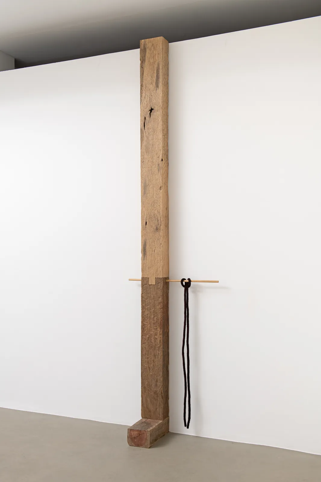 Tonico Lemos Auad, Cobra Preta, 2022