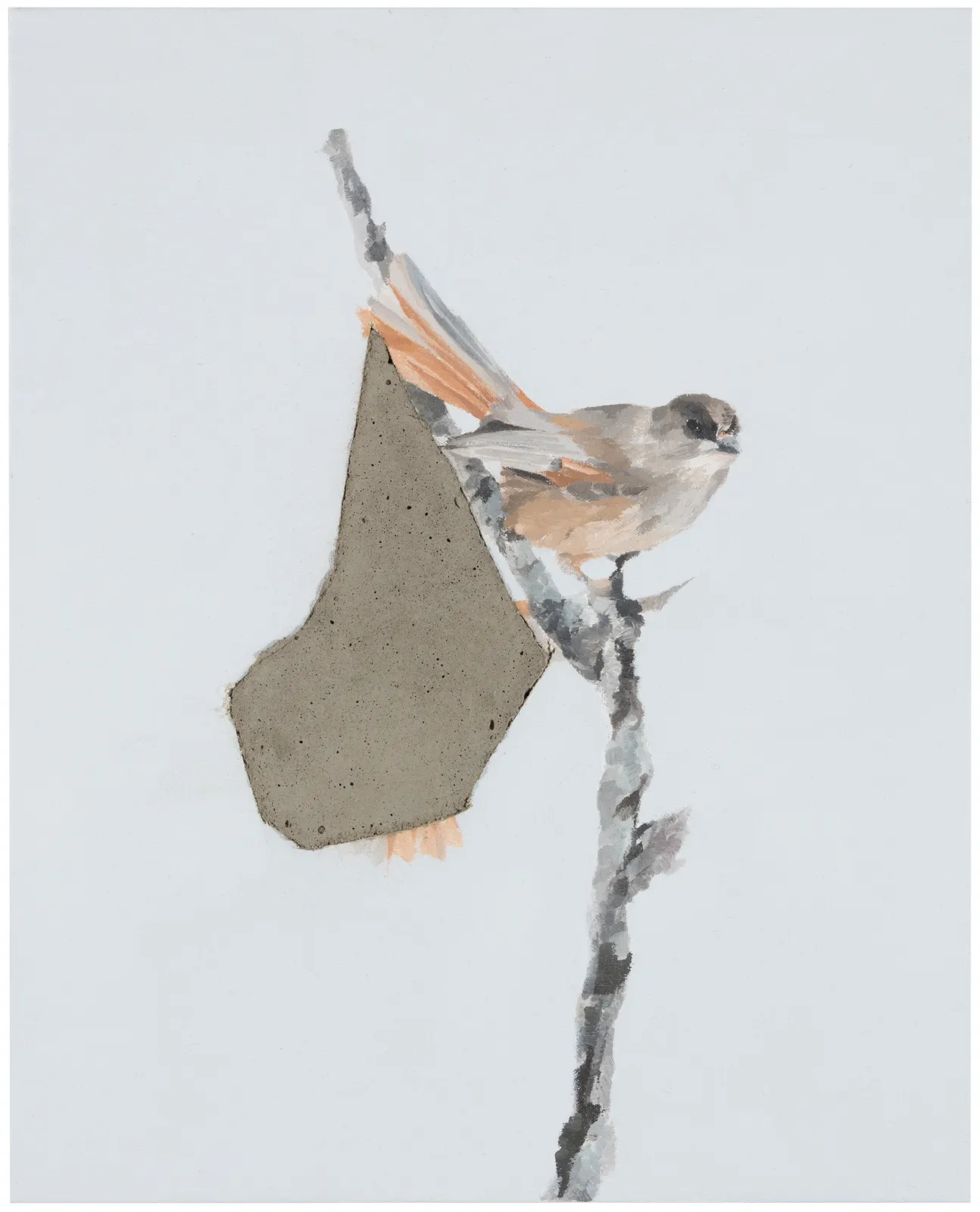 Päivi Takala, Imagecut, Siberian Jay I, 2021