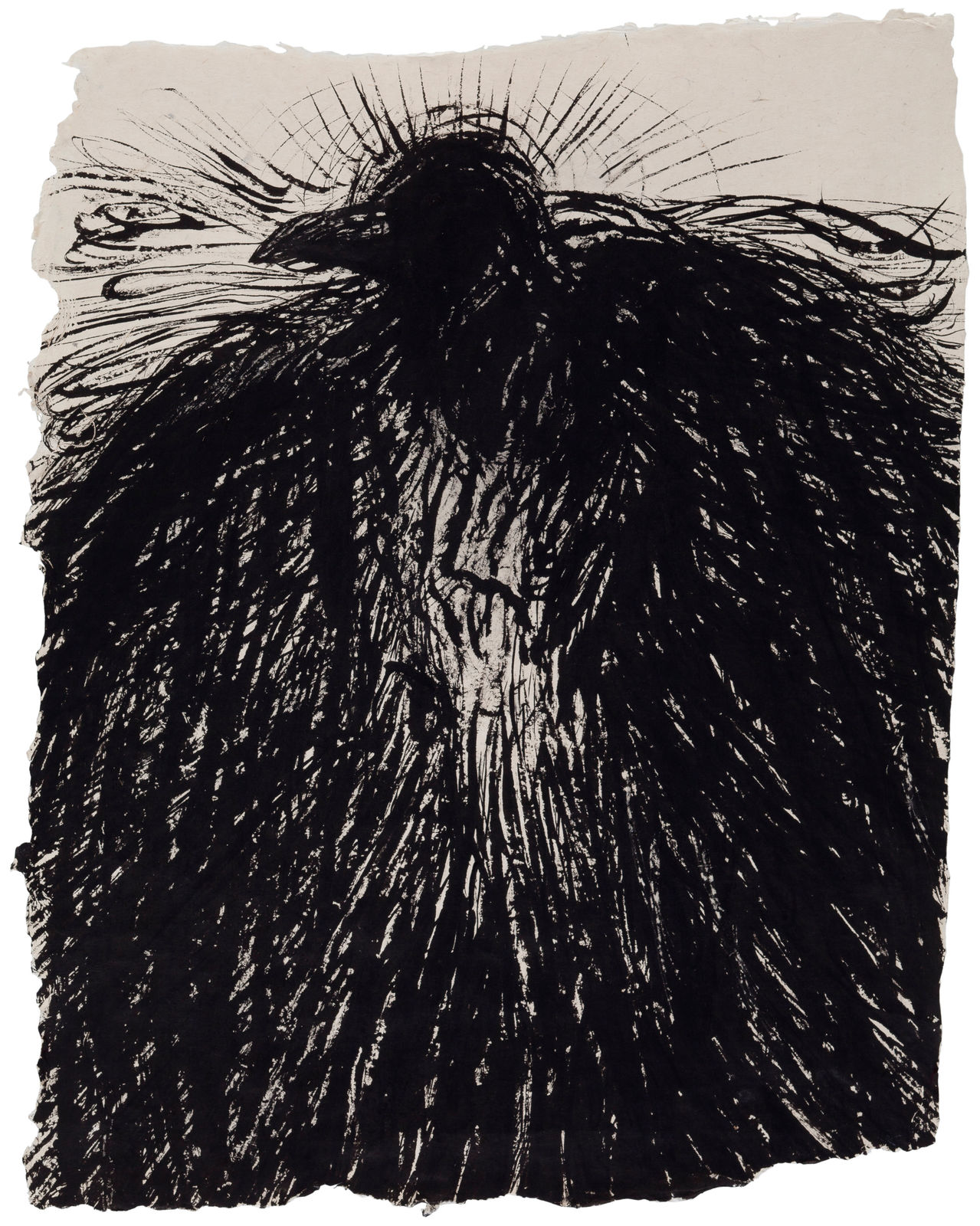 Elina Merenmies, Raven, 2013