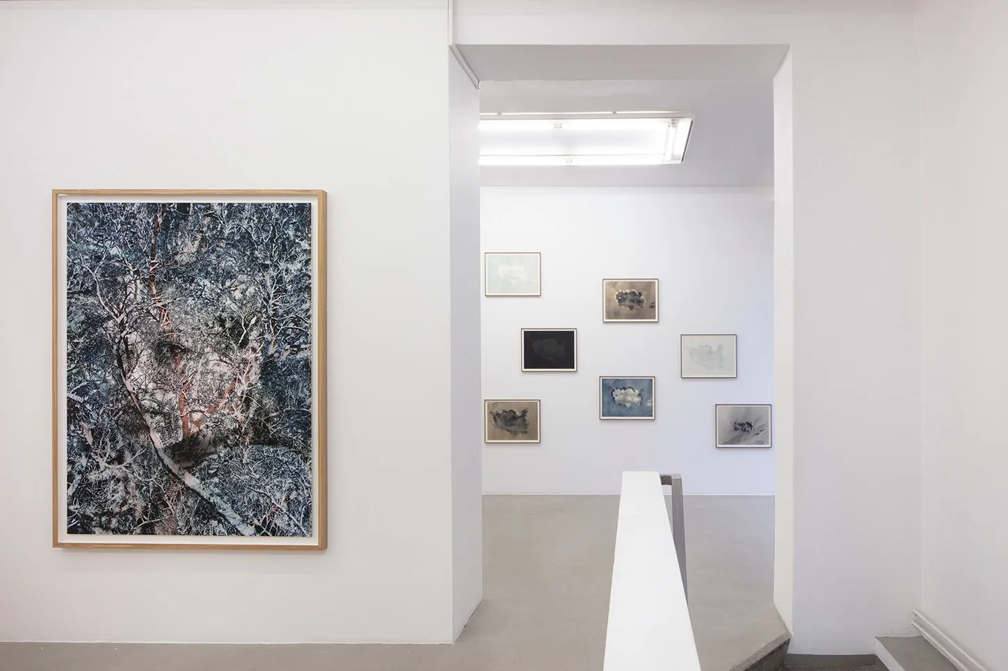 Santeri Tuori, Immediate Nature 1 ⎜Ilona, 2023