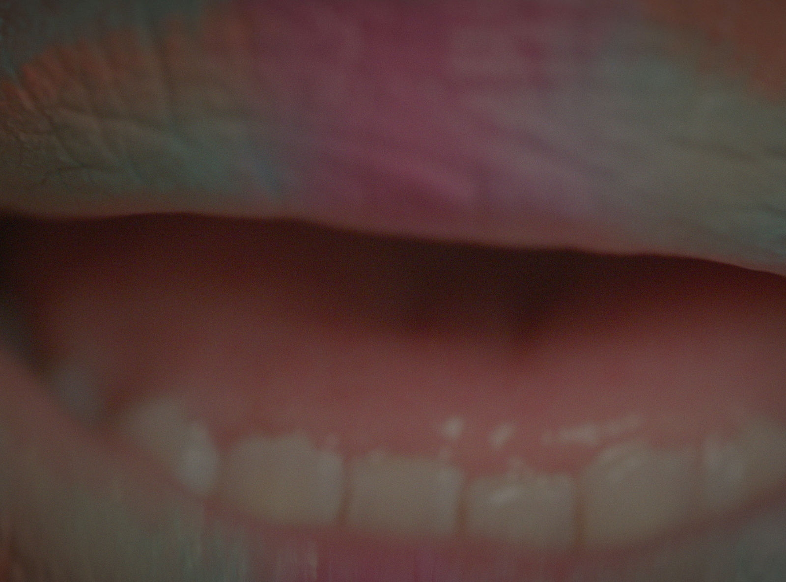 Jani Ruscica, Polynotknot (and they bloom), 2023