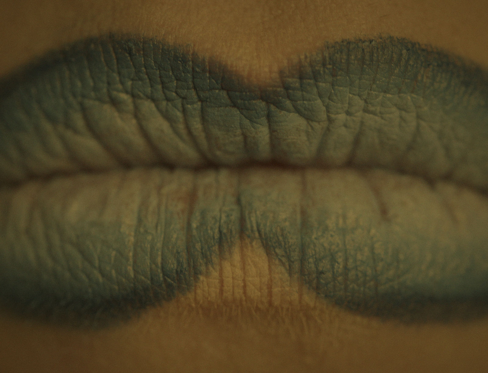 Jani Ruscica, Polynotknot (and they bloom), 2023