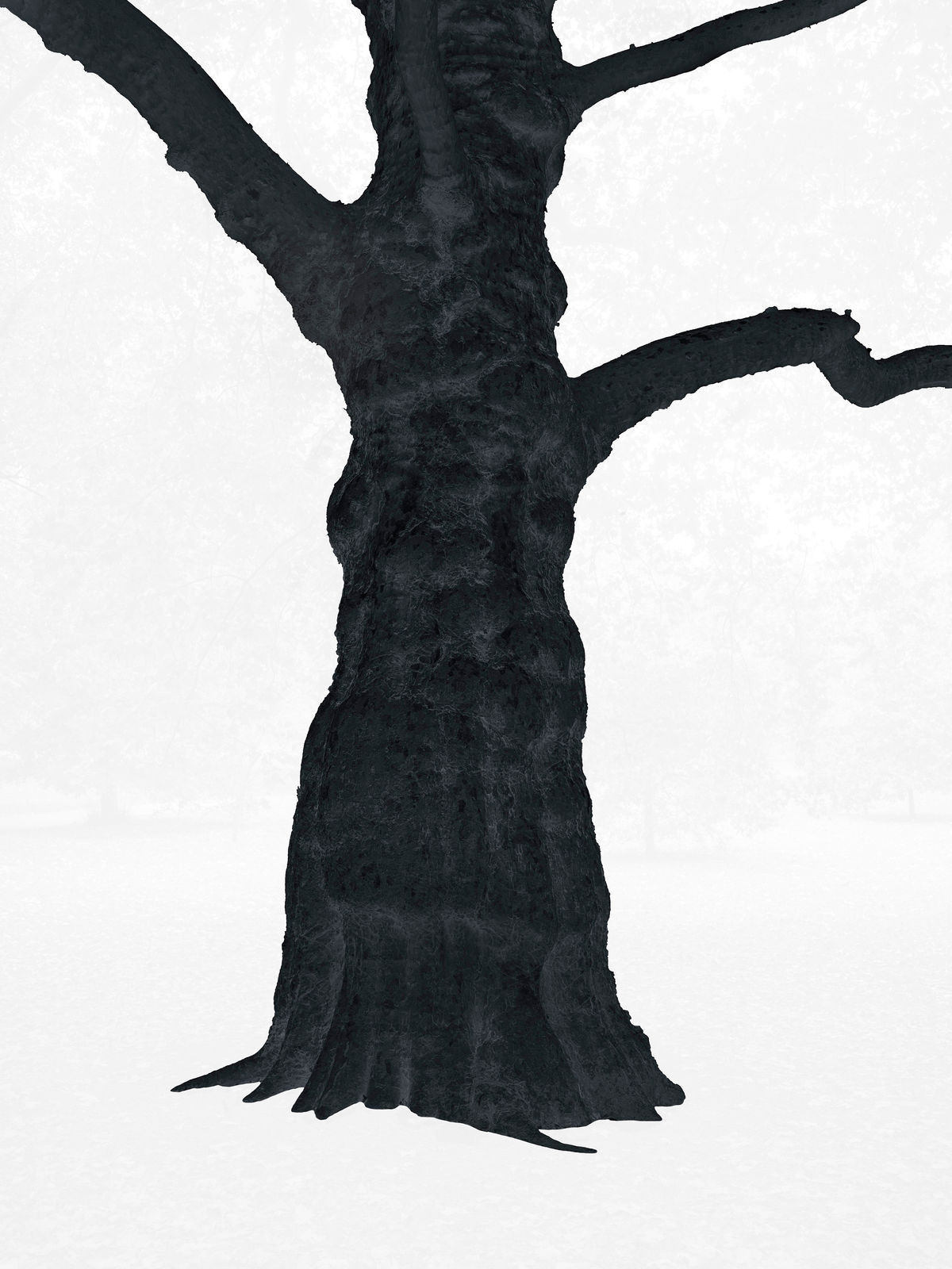 Santeri Tuori, Black Tree 1, 2025