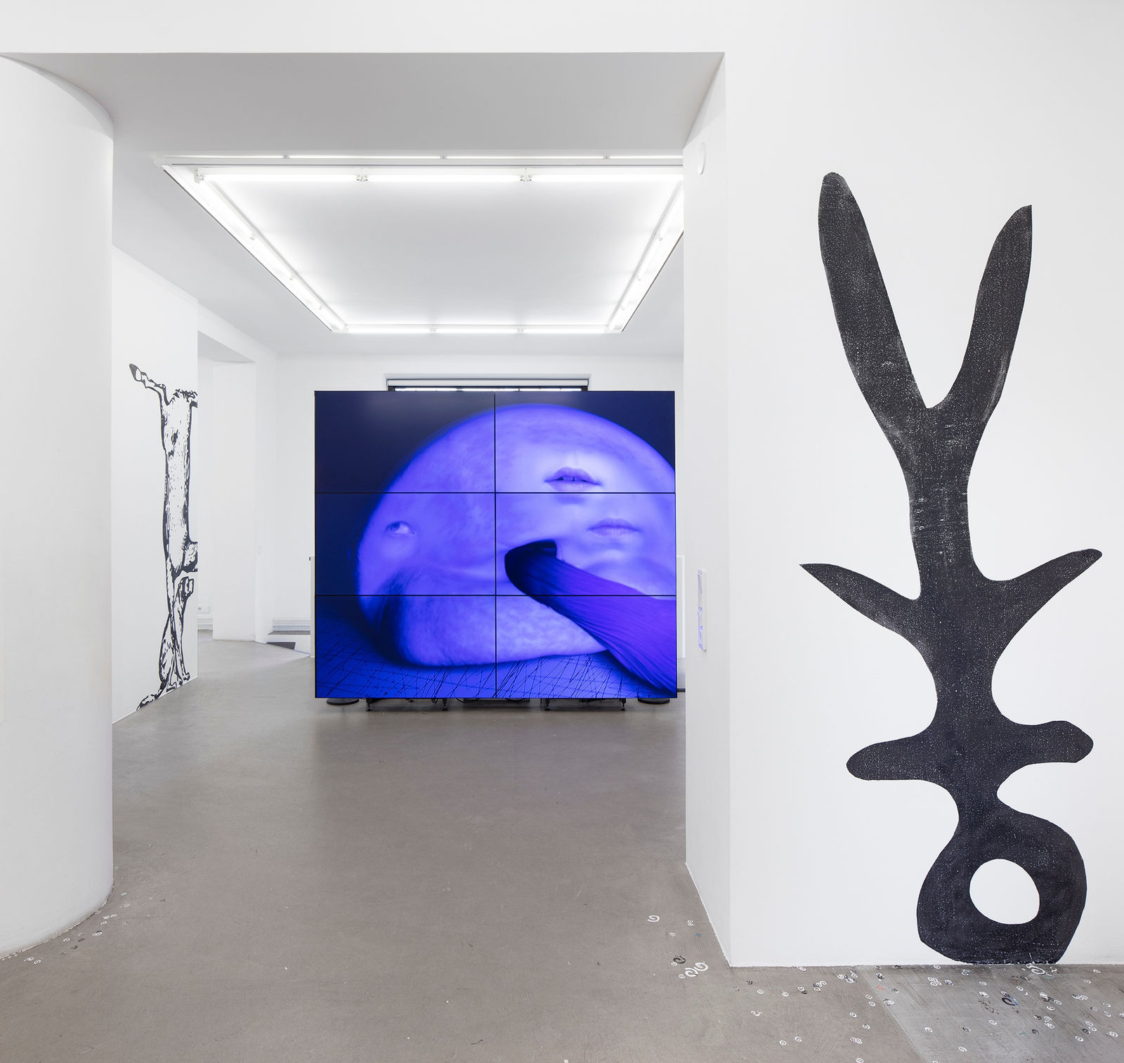 Jani Ruscica, Polynotknot (and they bloom), 2023