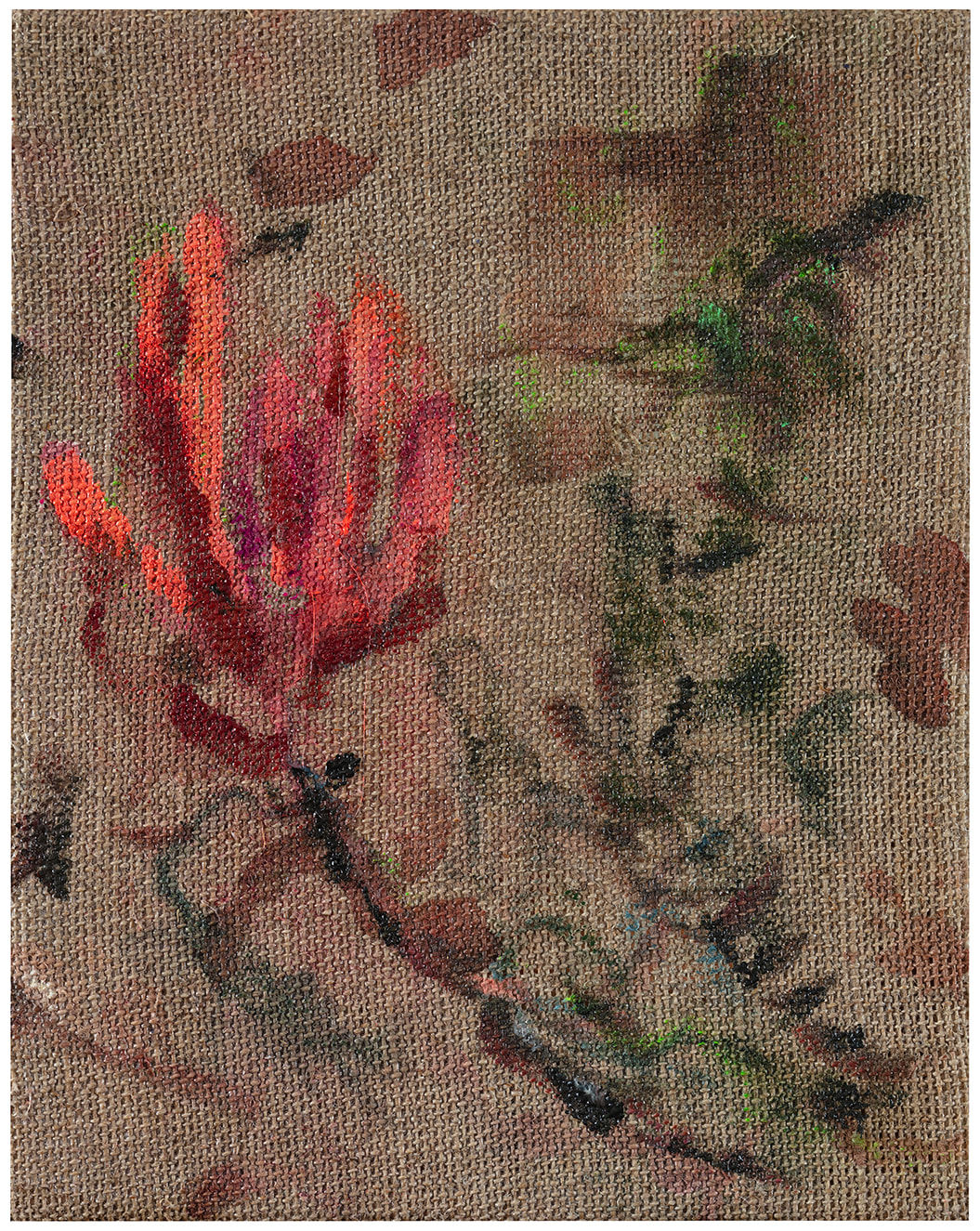 Anna Tuori, Astraganus algerianus, 2024