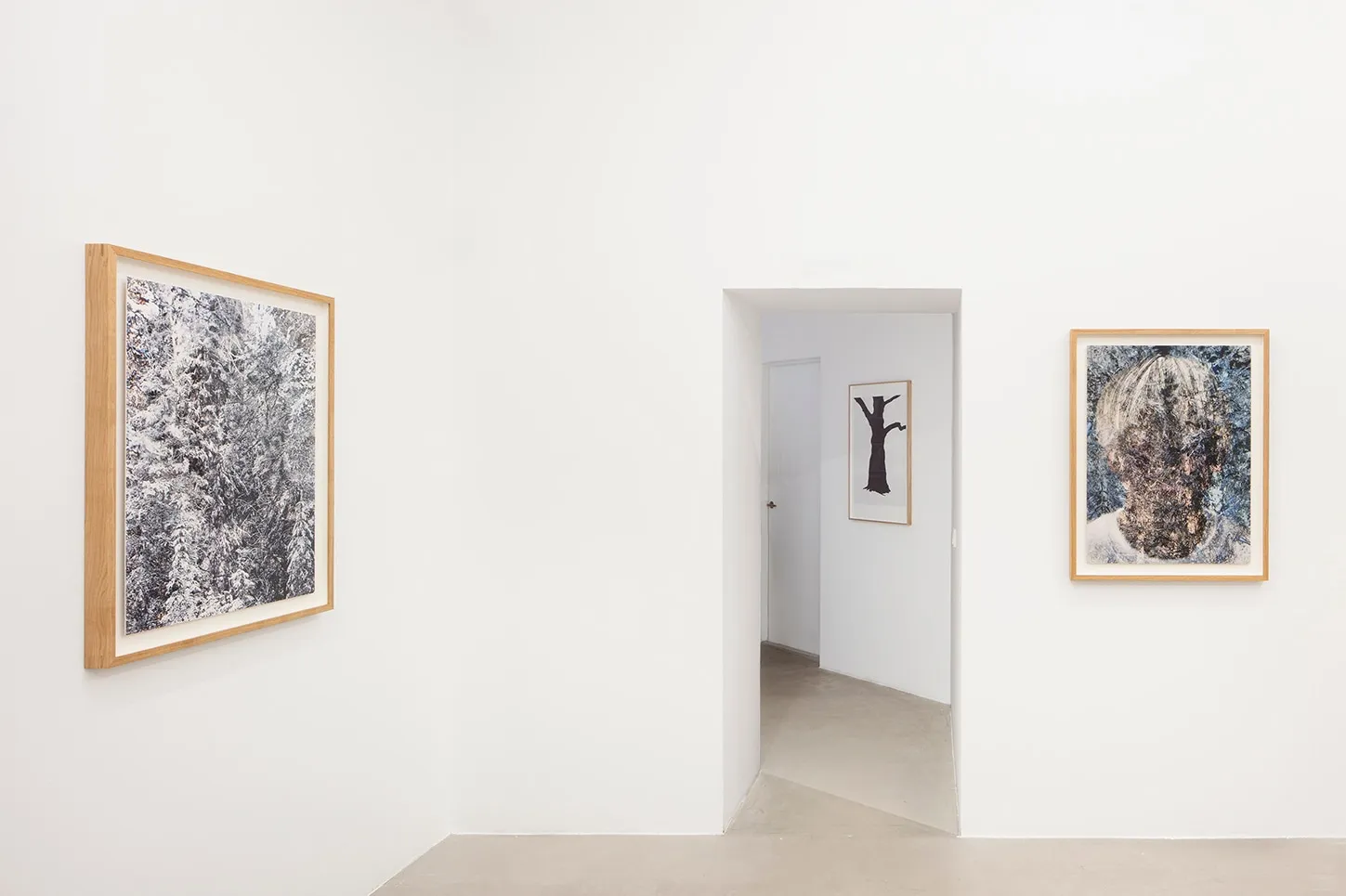 Santeri Tuori, Black Tree 1, 2025