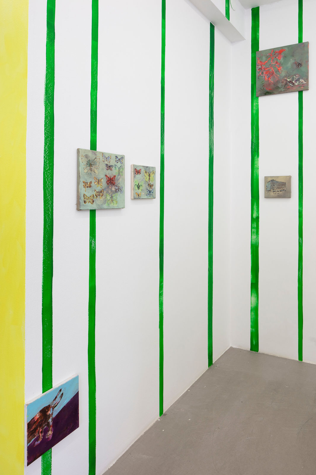 Anna Tuori, Anthozoa & Strombus arayaensis, 2024