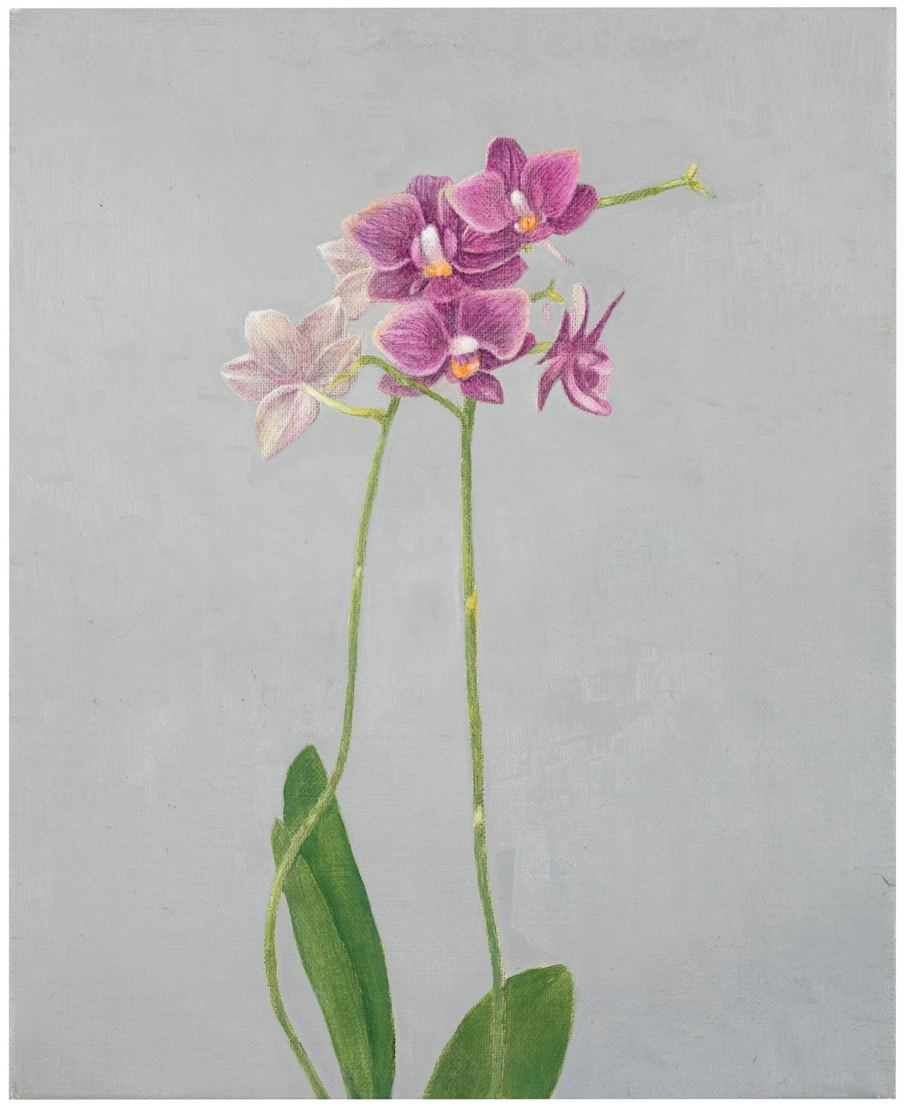 Anne Koskinen, My Mother Loved Red Roses III, 2019