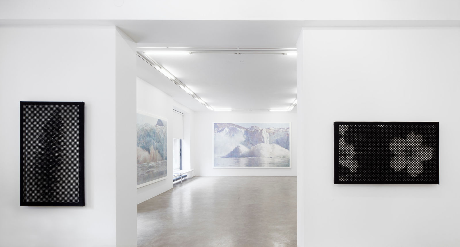 Anne-Karin Furunes, Nature /detail, 2022