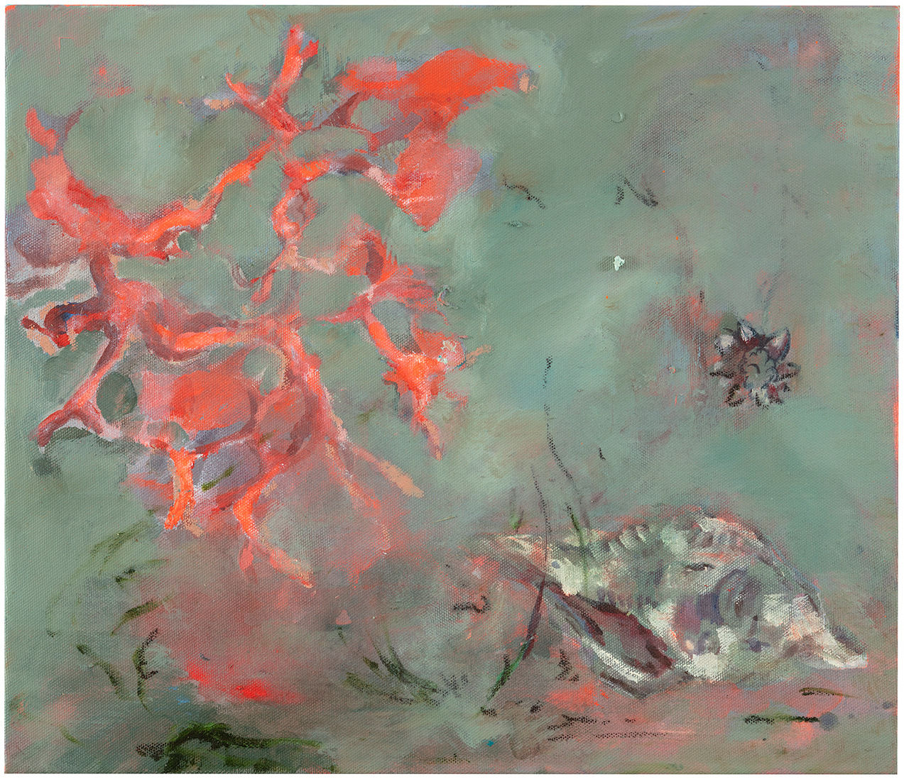 Anna Tuori, Anthozoa & Strombus arayaensis, 2024