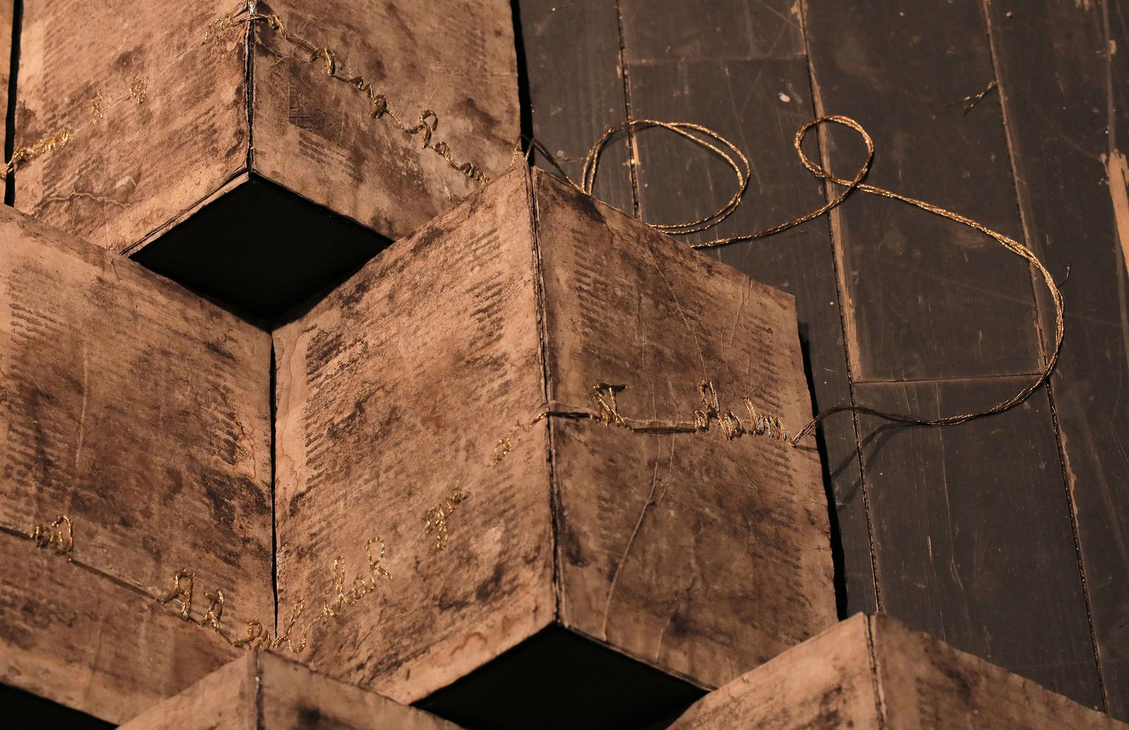 Camila Rodríguez Triana, Ukhu Pacha, 2019