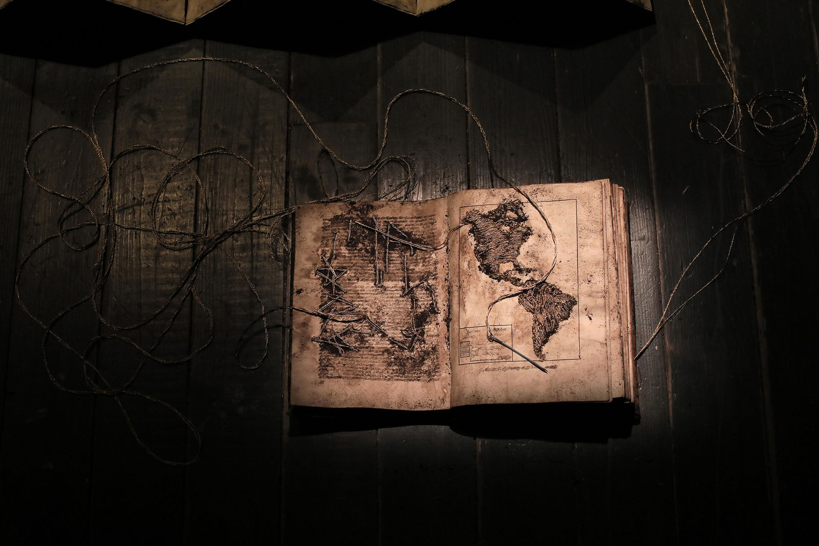 Camila Rodríguez Triana, Ukhu Pacha, 2019