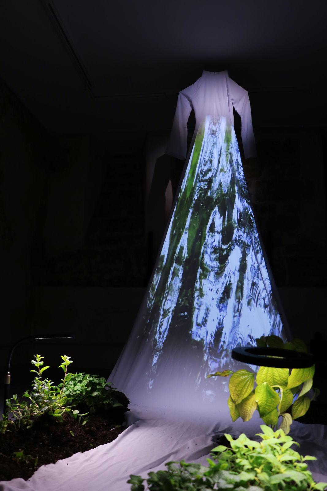 Victoria Pham, roots run wild on threads of memory, 2025