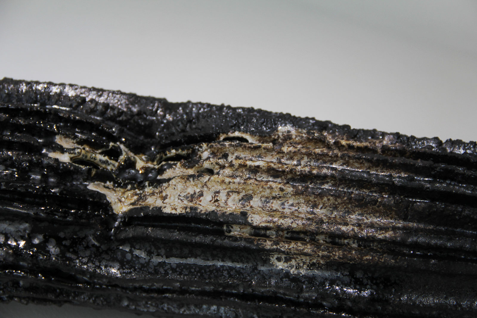 Trần Anh-Hùng, Vase no. 7, 2016-2023