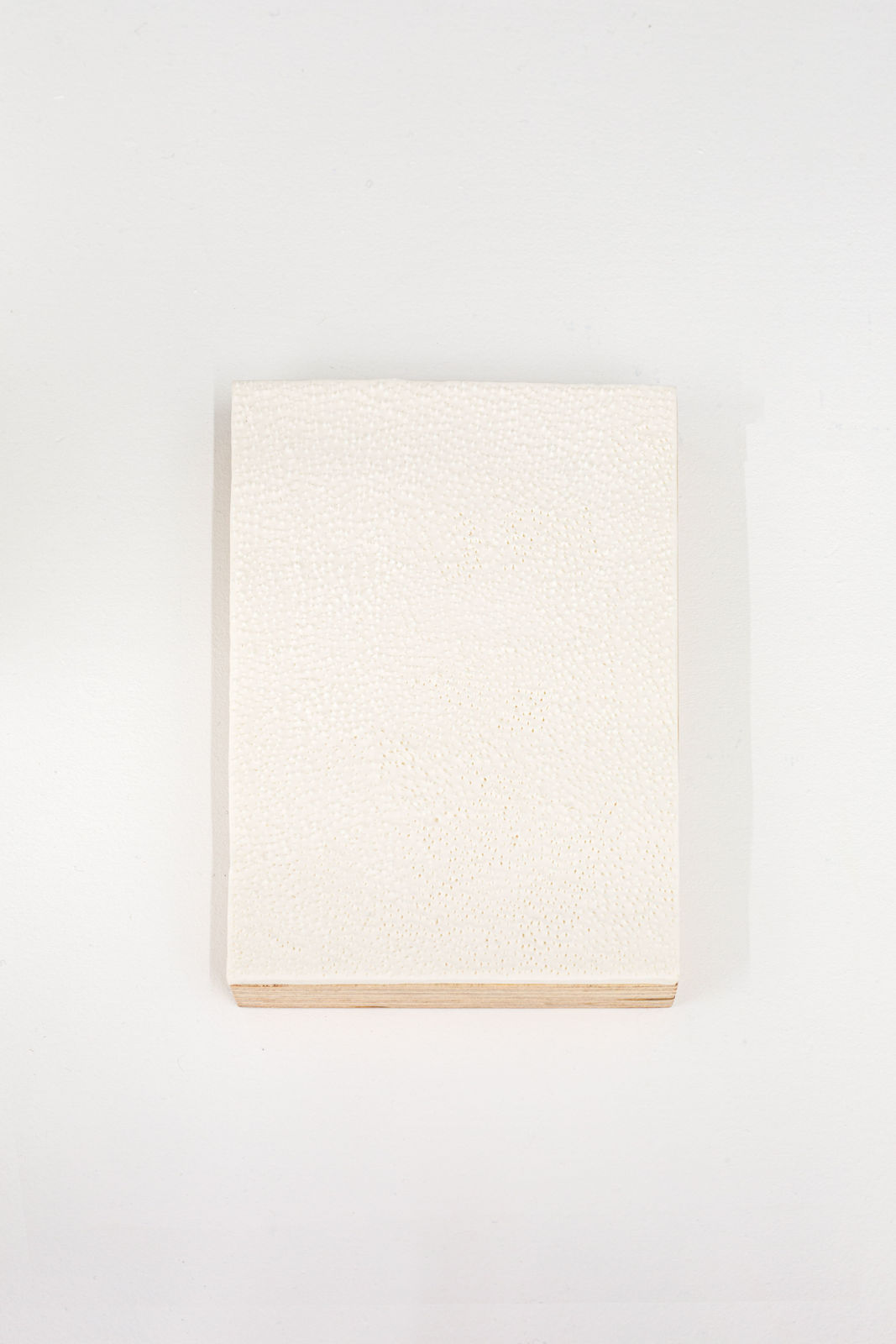 Andrea Nones Kobiakov, maqueta para piel de gallina I, 2024