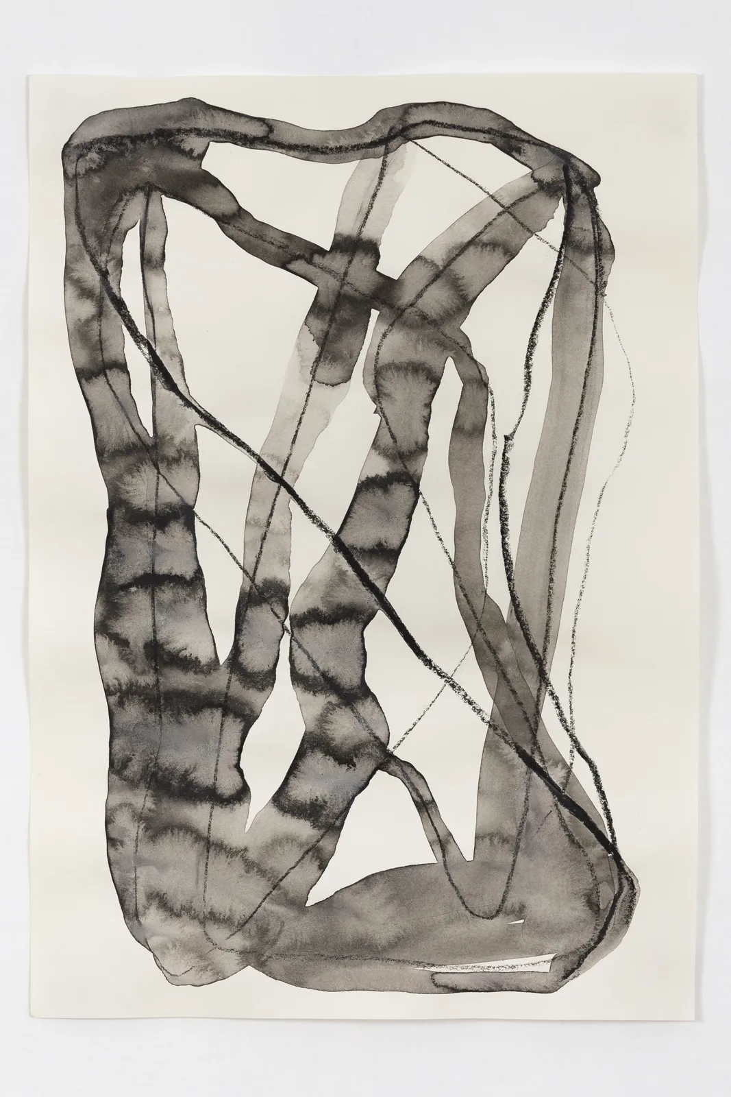 Lucía Hinojosa Gaxiola, Wind studies, 2021