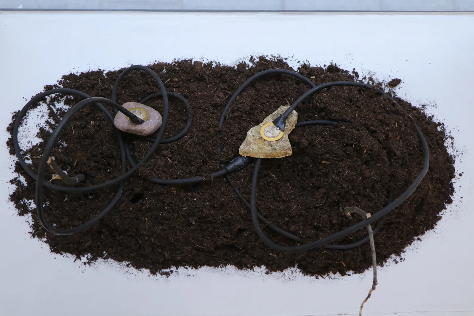 Lucía Hinojosa Gaxiola, From Gravity Series (For Eliane Radigue, Paris 2026), 2026