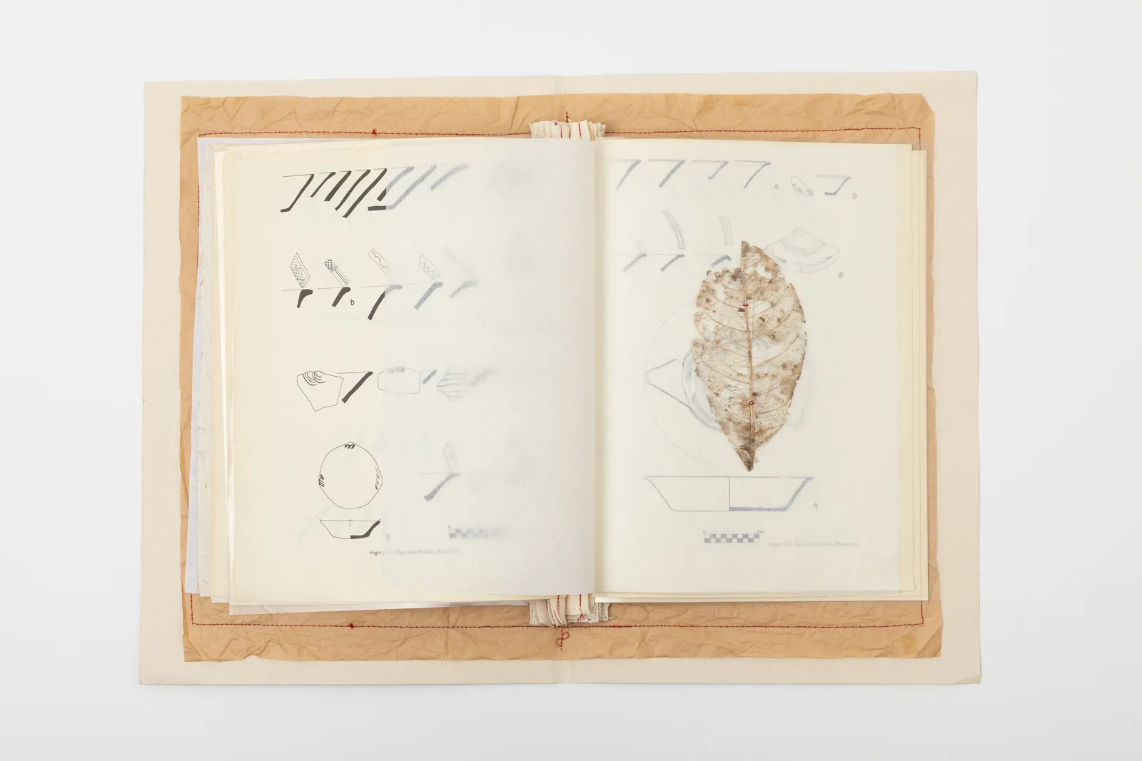 Lucía Hinojosa Gaxiola, Score Book for Gravity (Libro de partituras para la gravedad), 2025