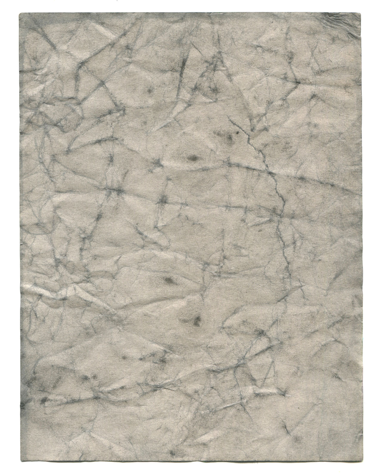 Antinea Jimena Pérez Castro, Caractères / Sans titre (17), 2017