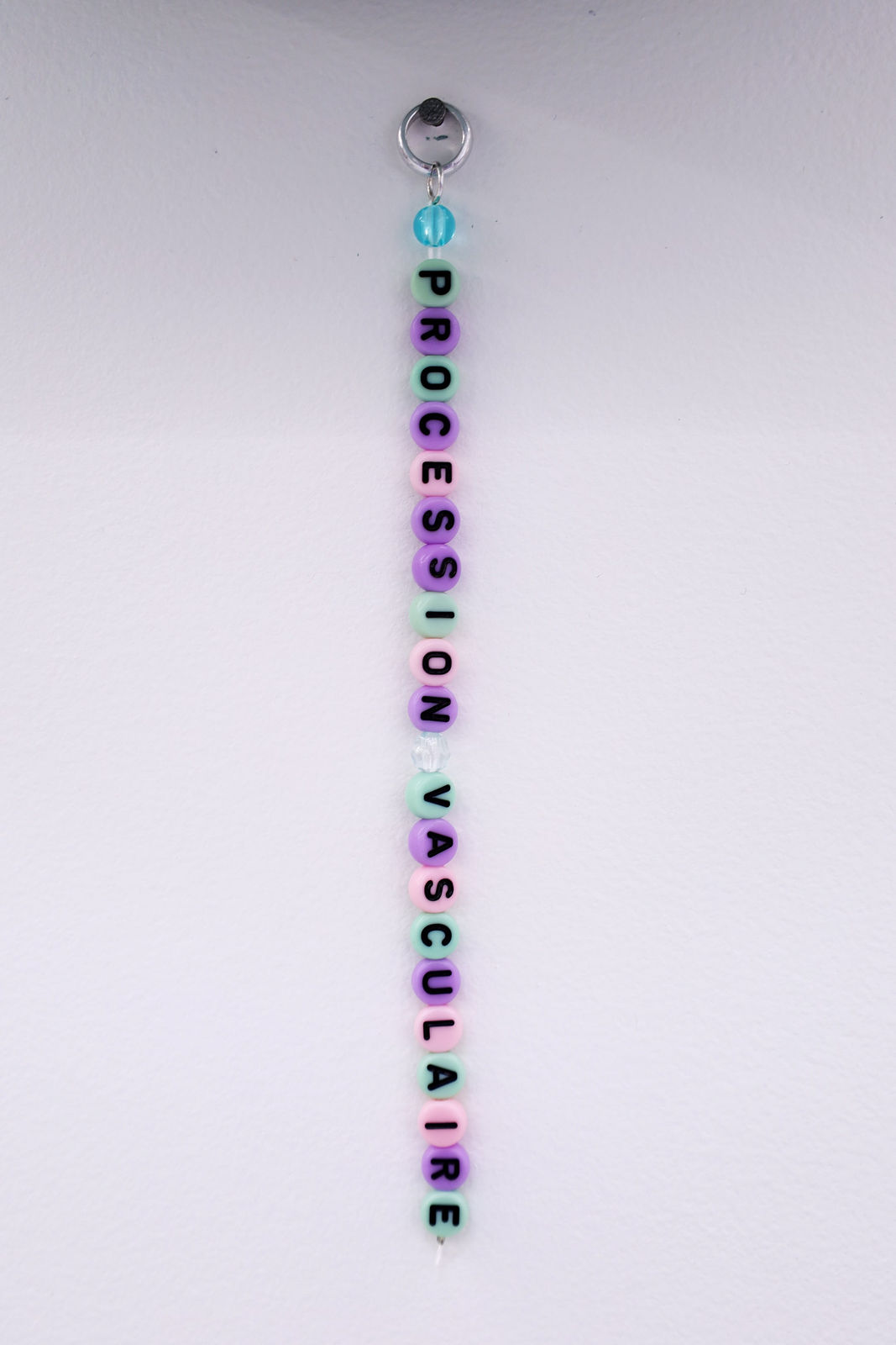 megan laurent, Procession Vasculaire, 2025