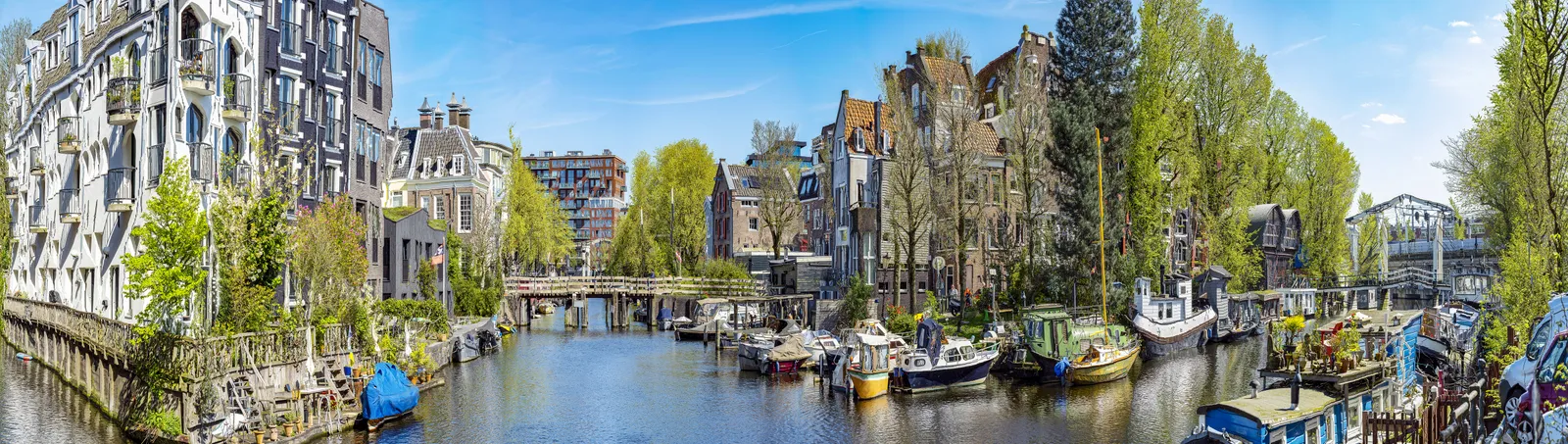 Murat Germen, Mutamorphosis Amsterdam No:31, 2024