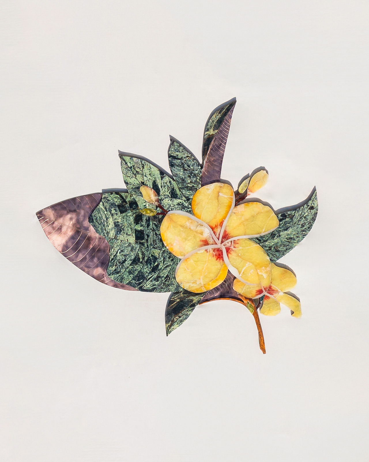 Meherunnisa Asad, Champa & Leaf Cluster