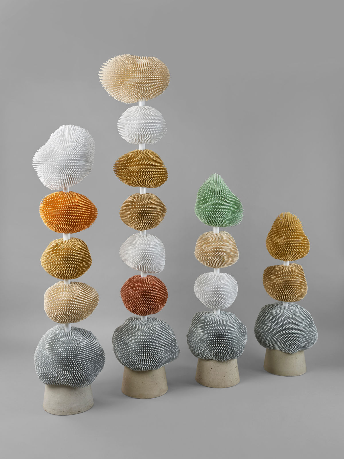 Pia Maria Raeder, Sea Anemone 24