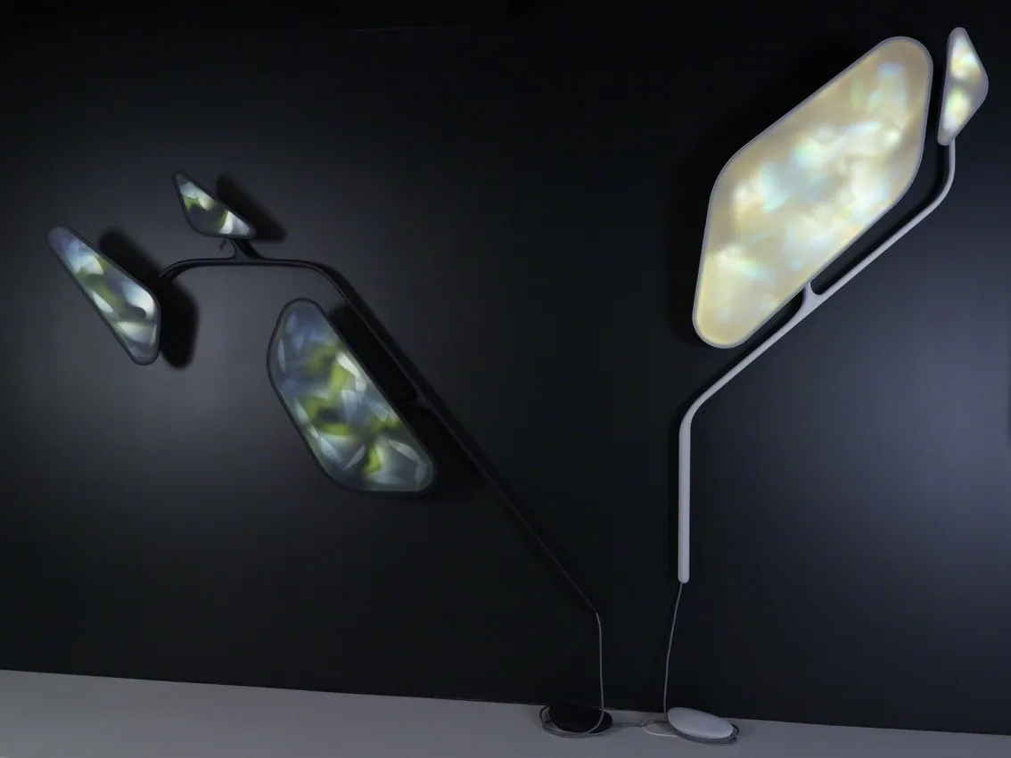 Noé Duchaufour-Lawrance, Naturoscopie II (C3)