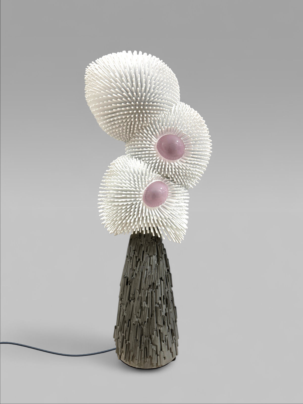 Pia Maria Raeder, Sea Anemone 31