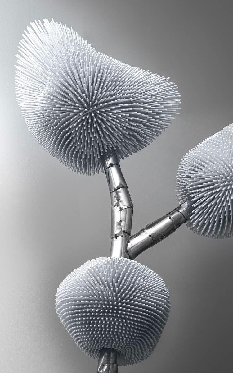 Pia Maria Raeder, Sea Anemone 30