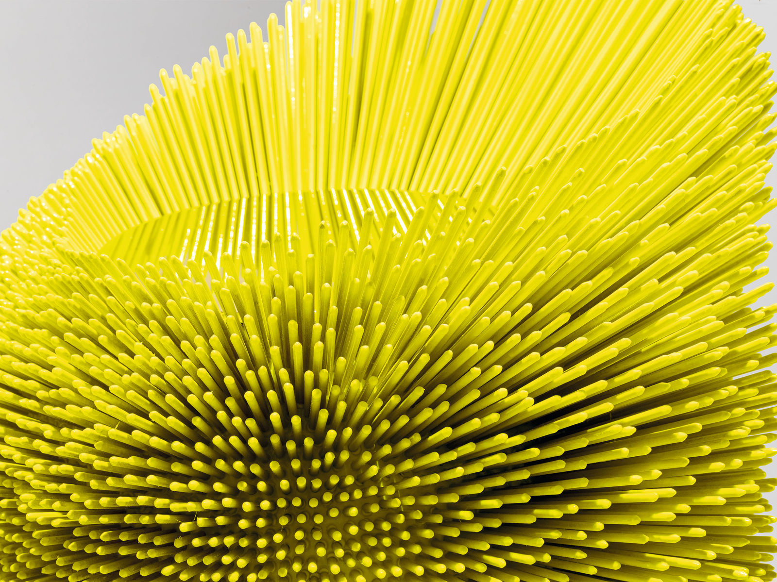 Pia Maria Raeder, Sea Anemone 7