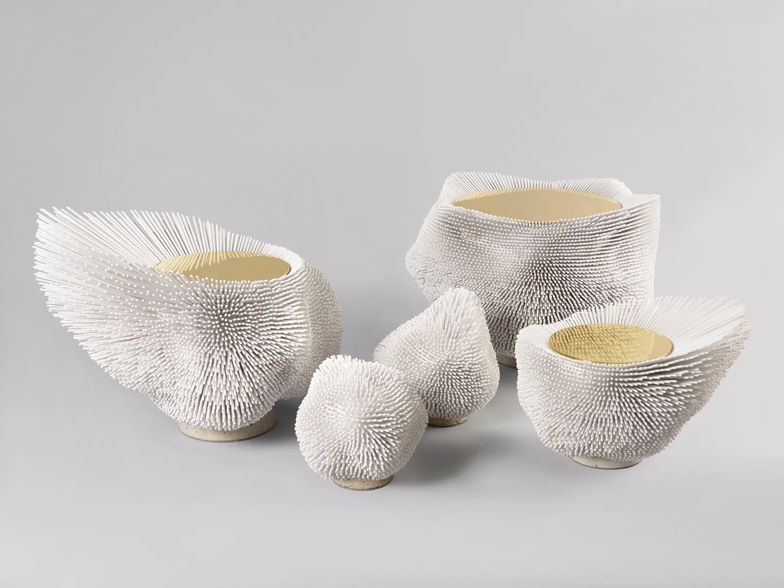 Pia Maria Raeder, Sea Anemone 5