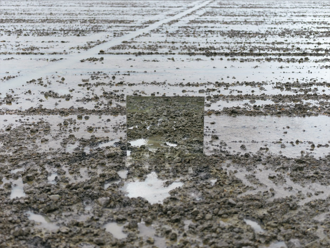 Alexandre DUFAYE, Retour sur terre, 2019