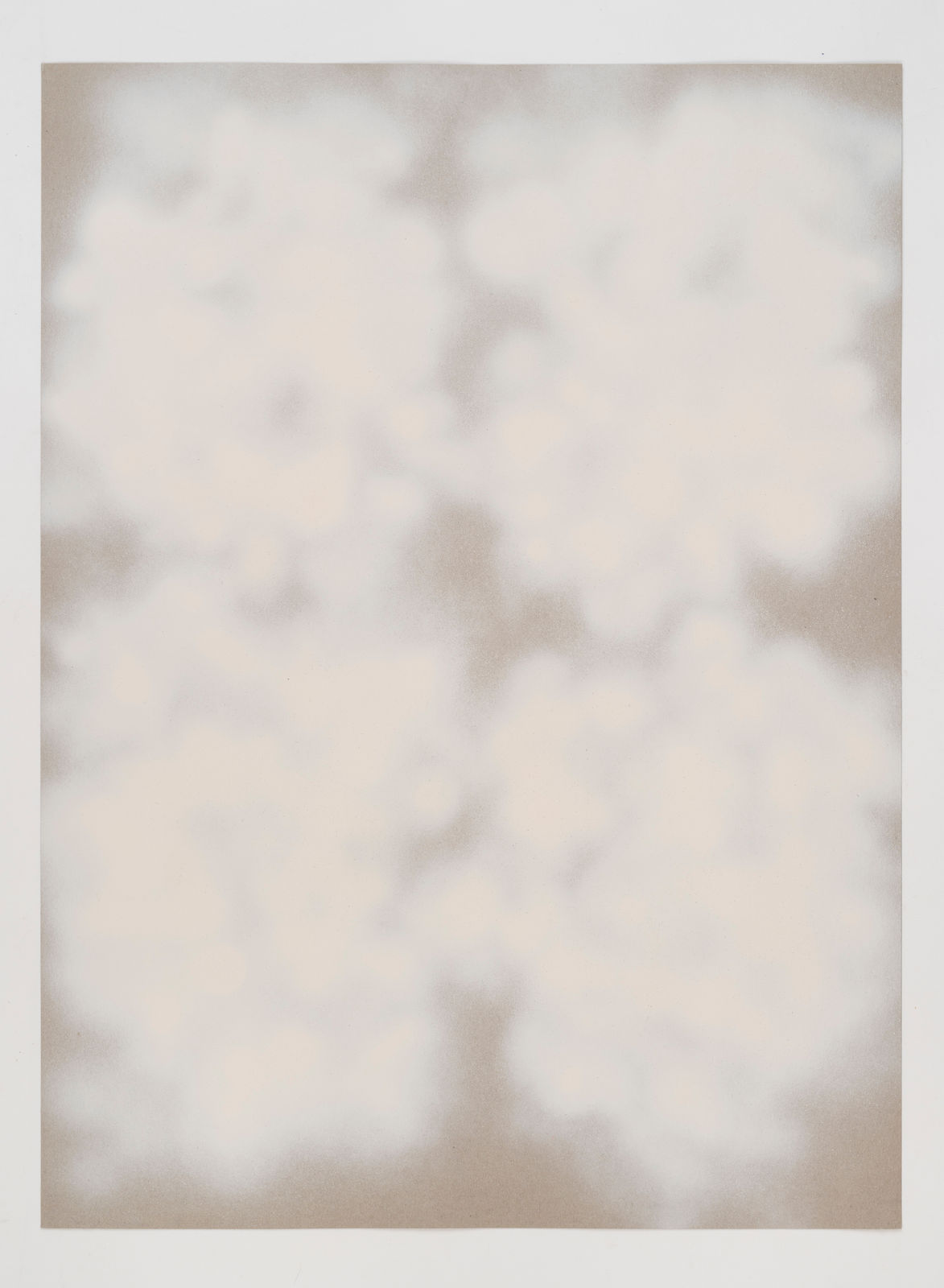 Thomas MÜLLER, Sans titre , 2024