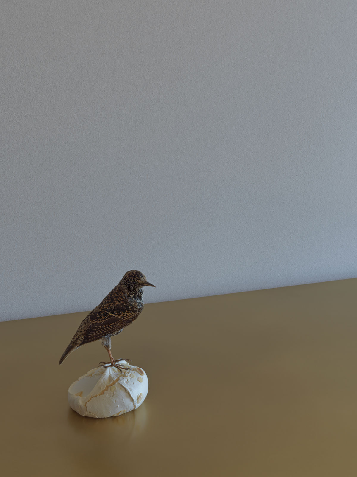 Alexandre DUFAYE, Captif , 2022