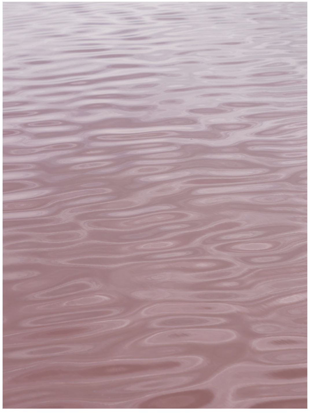 Alexandre DUFAYE, Repenser le vivant , 2021