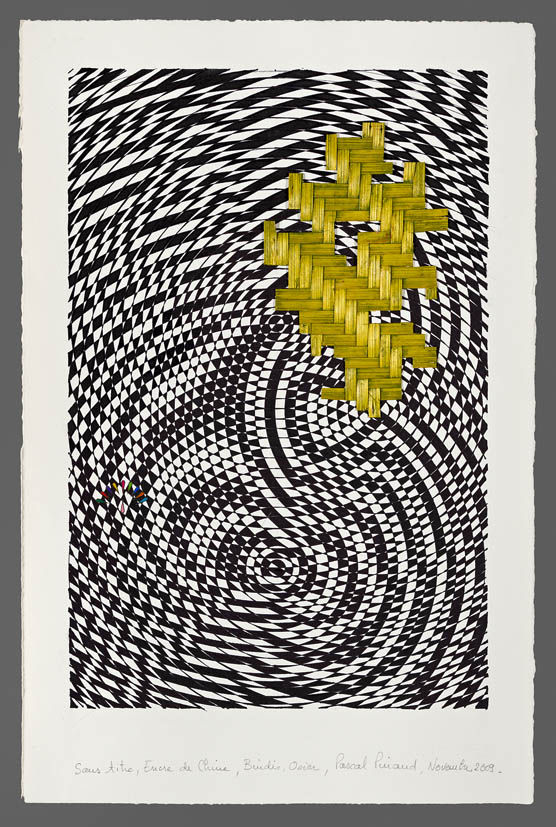 Pascal PINAUD, Sans Titre, Novembre 2009