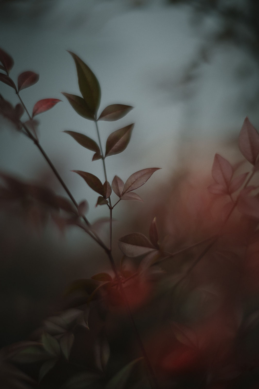 Mikiya Takimoto, LUMIÈRE #99