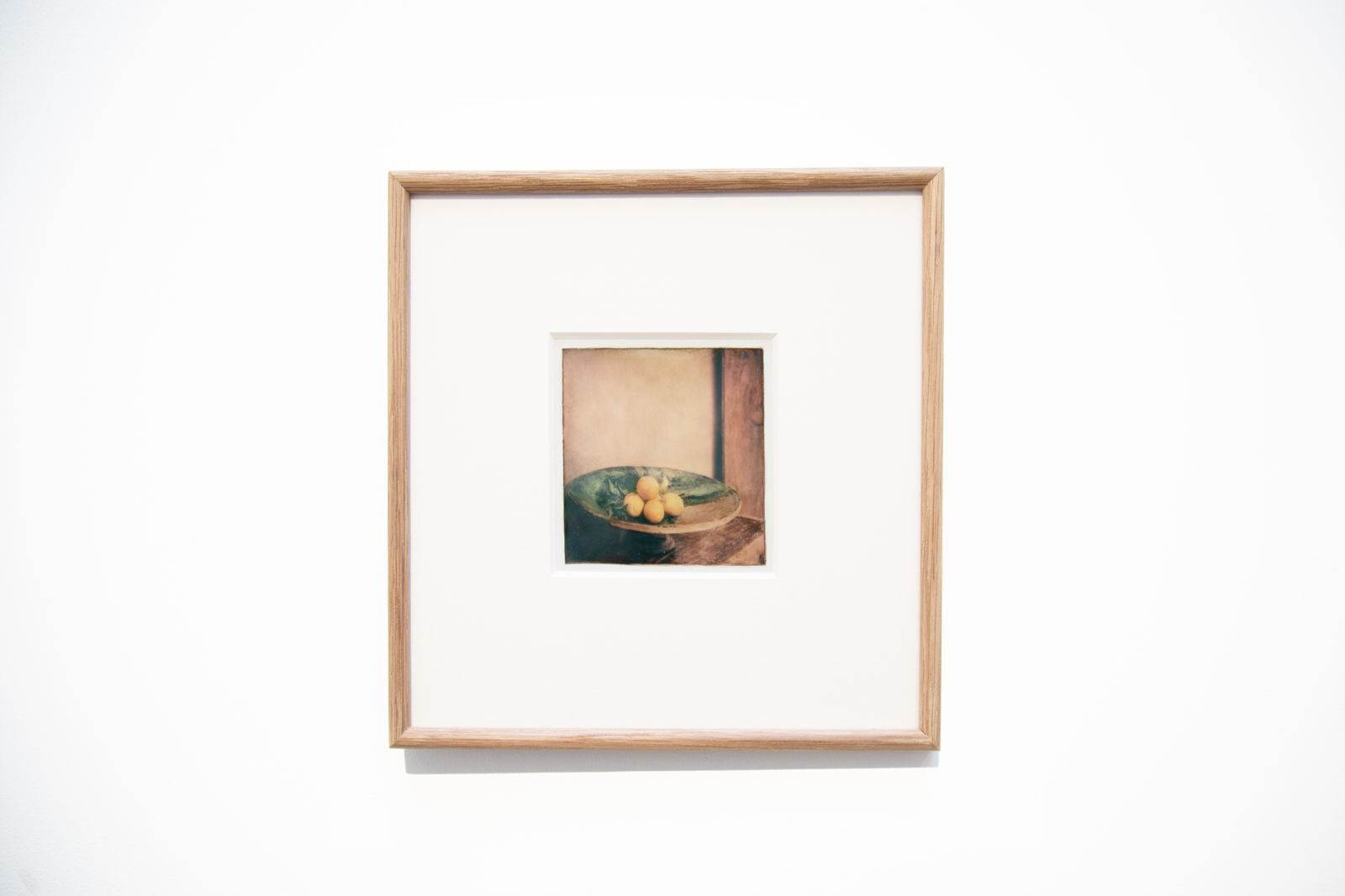 FLORE, Still life, Maroc, 2024