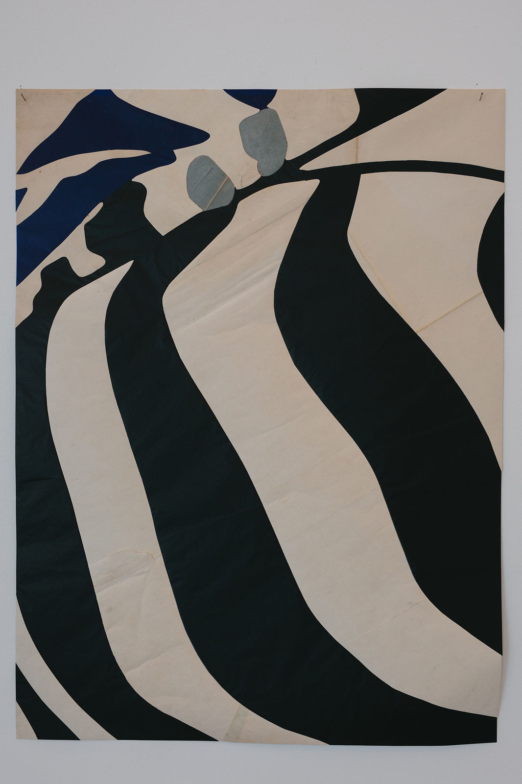 Jesse Willems, Olympia, 2024