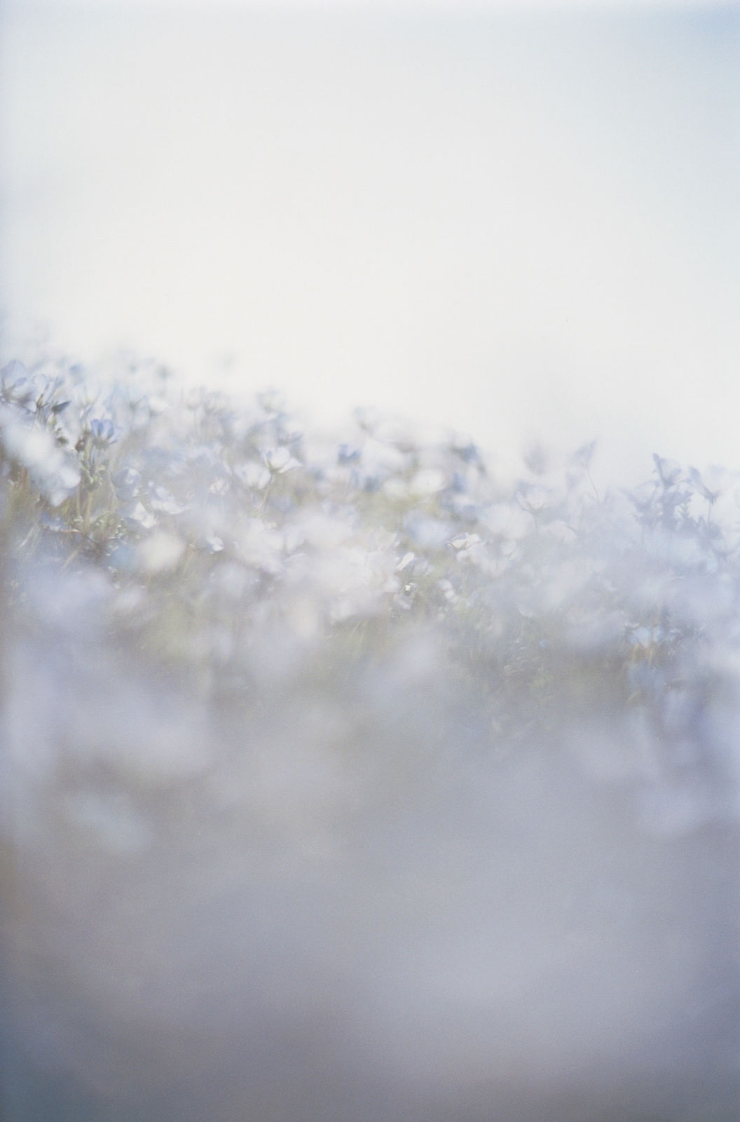 Mikiya Takimoto, LUMIÈRE #53