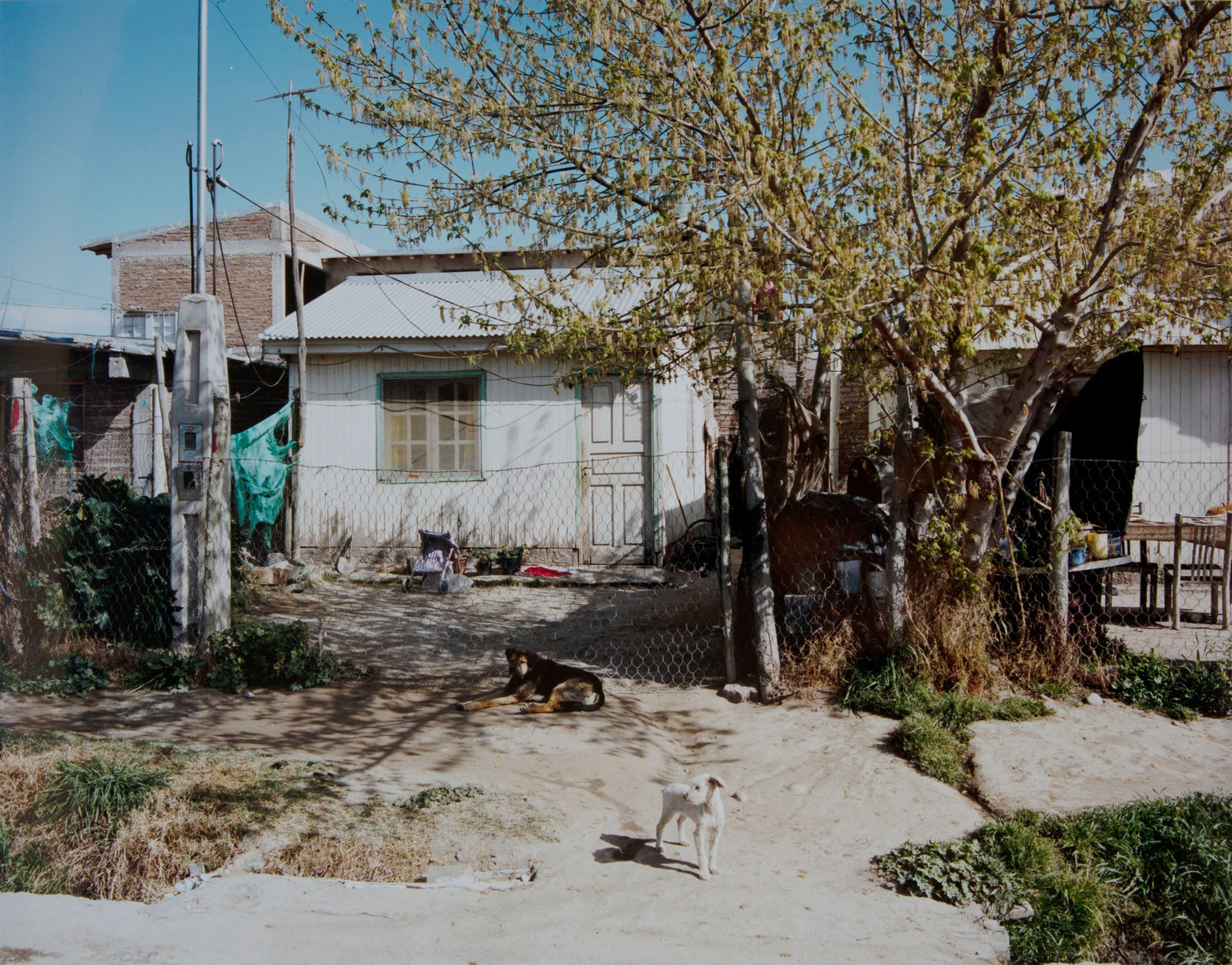 Thomas Klotz, Sans titre #3, 2022