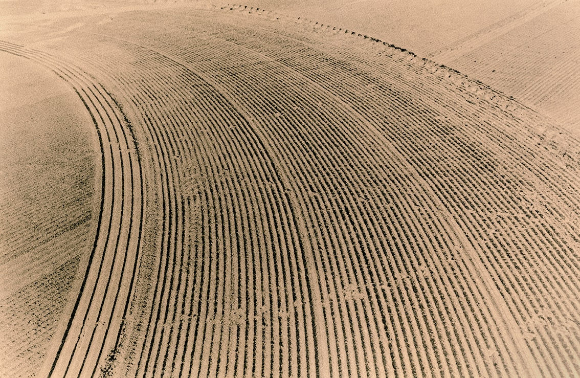 Guillaume Zuili, The Sand of Cabrillo Beach, San Pedro, 2017