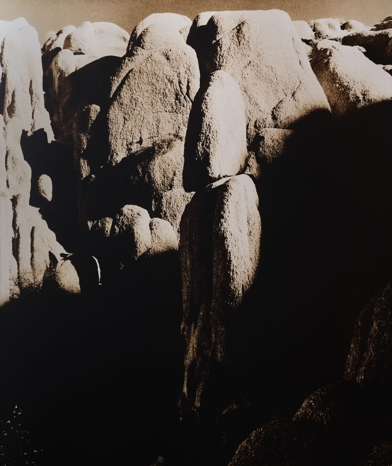 Guillaume Zuili, Sun JT 024, 2022